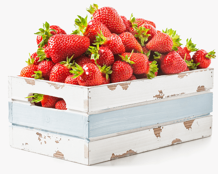Kiste mit frischen Erdbeeren aus biologischer Landwirtschaft