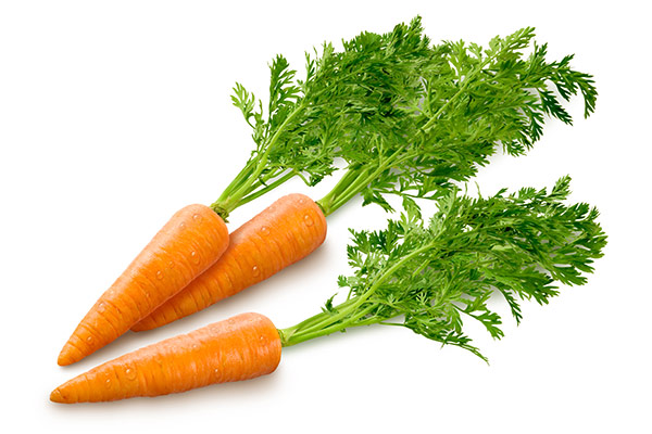 Knackige Karotten