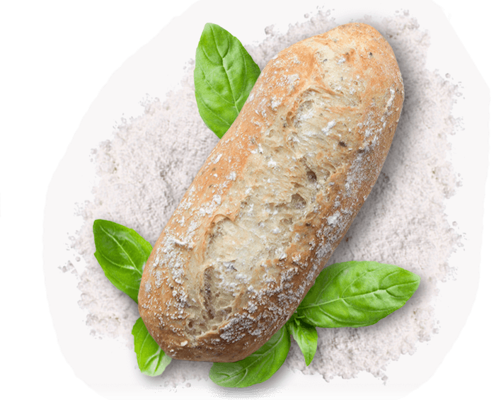 Hausgemachtes Bio-Ciabatta mit Basilikum